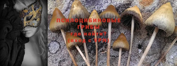 ALPHA PVP Армянск