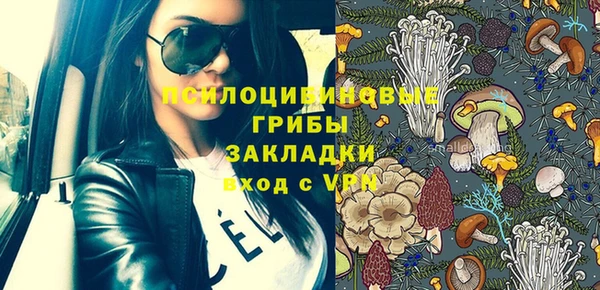PSILOCYBIN Балахна