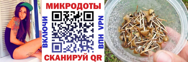 Галлюциногенные грибы MAGIC MUSHROOMS  где найти   ОМГ ОМГ онион  Чебоксары 