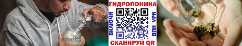 наркота  Чебоксары  Шишки марихуана индика 